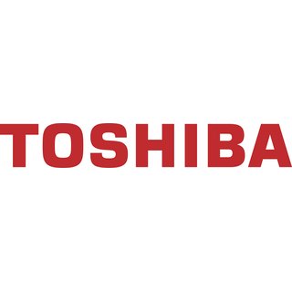 Original Toshiba 6LH58317000 / D4530 Entwickler Black
